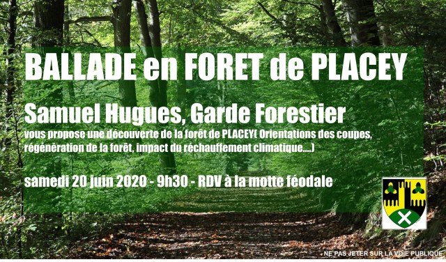 Ballade en foret 20juin